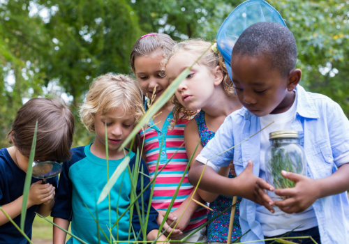 The Power of Community Organizations in Northeastern Georgia: Preserving the Environment